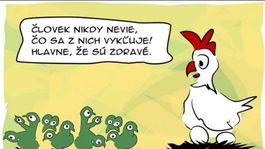 Gašparec, 12.1.2011