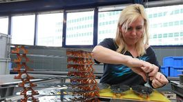 Sociologička Monika Čambáliková: Na záujmy žien majú dohliadať odbory