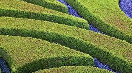 Záhrada na jar potrebuje očistu