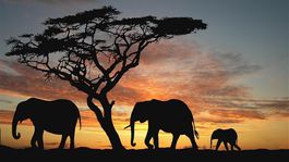 Turisti sa vydávajú po stopách otrokov, o 400 rokov neskôr