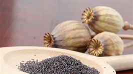 Nezabudli ste? Je tu aj cícer, mak, dula či rebarbora. Čo s nimi?