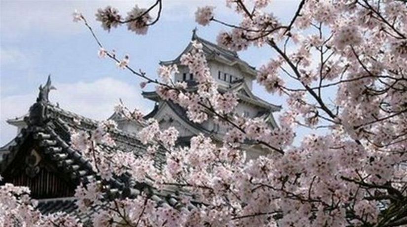 sakura, Japonsko