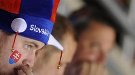 Slovensko fanúšik