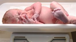 Nebezpečný vírus ohrozuje najmä predčasniatka