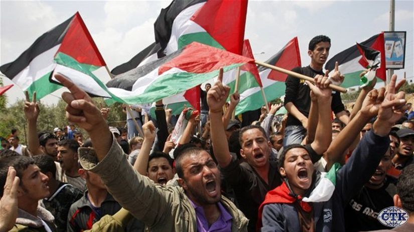 demonštrácia, palestína, izrael