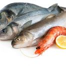 ryby - krevety - plody mora - selén - zinok - omega - jin potraviny