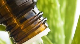 Aloe vera - zázrak, ktorý zahojí jazvy či pomôže unaveným vlasom