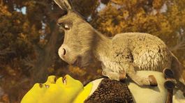 Shrek a jeho priatelia