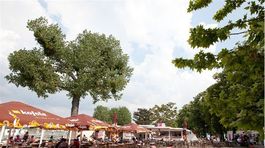 Kto nemá na more, nech 'plážuje' v Bratislave