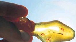 Nemeckí hľadači pokladov vraj vyriešili záhadu zmiznutej Jantárovej komnaty