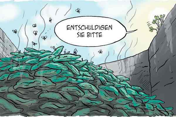 Karikatúra 13.06.2011