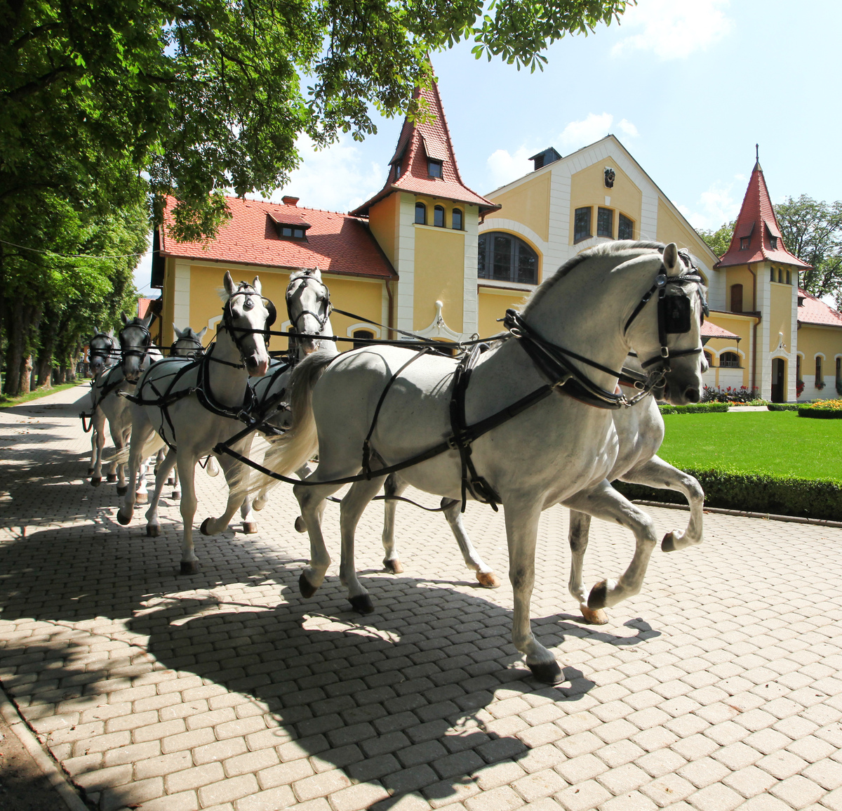 Topoľčianky mali vždy dobrý cveng medzi...