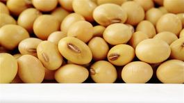 Do Európy má prúdiť geneticky modifikovaná sója z Ameriky