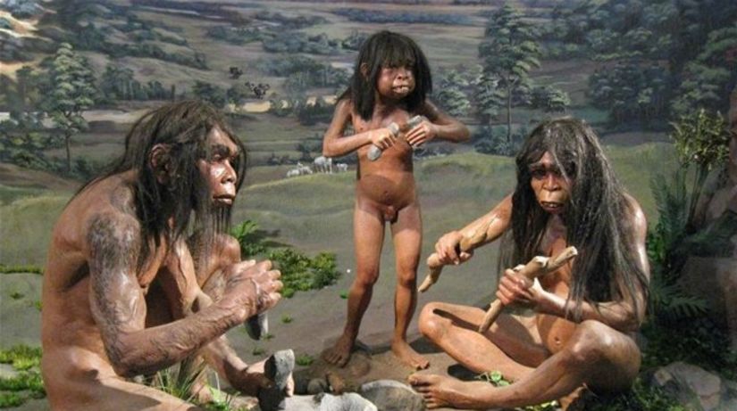 Homo erectus, doba kamenná, pästné kliny