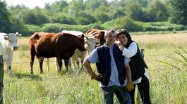 Íri najviac pocítia tvrdý brexit, farmárom pomôžu stámilióny z Bruselu