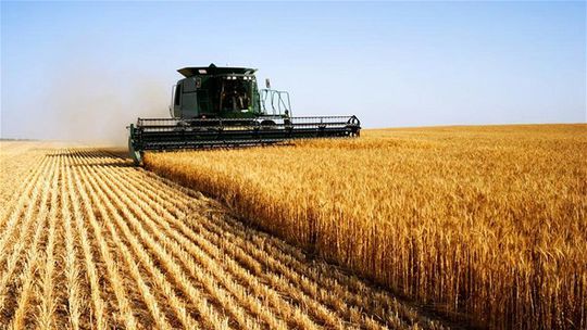 Ukrajina a Rusko podpísali oddelené dohody umožňujúce vývoz obilia