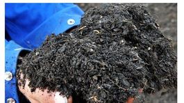 Vo Francúzsku zbierajú organický odpad z reštaurácií