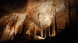 V Indonézii objavili jaskynné maľby staré 40-tisíc rokov