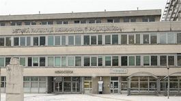 Aféry primárov: Korupcia aj detské porno 