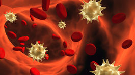 Vďaka liekom žijú nakazení s AIDS dlhšie, umiera ich menej