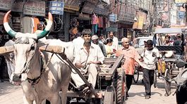 Dillí, India