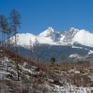 Vysoké Tatry, drevo, les, kalamita, víchrica