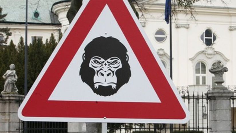 Gorila, protest