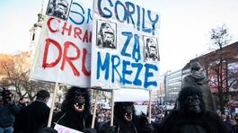 Gorila, protest v Bratislave