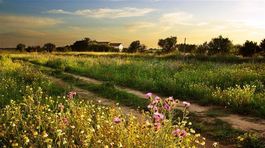 Čo robiť, keď chcete pôdu prenajímať 