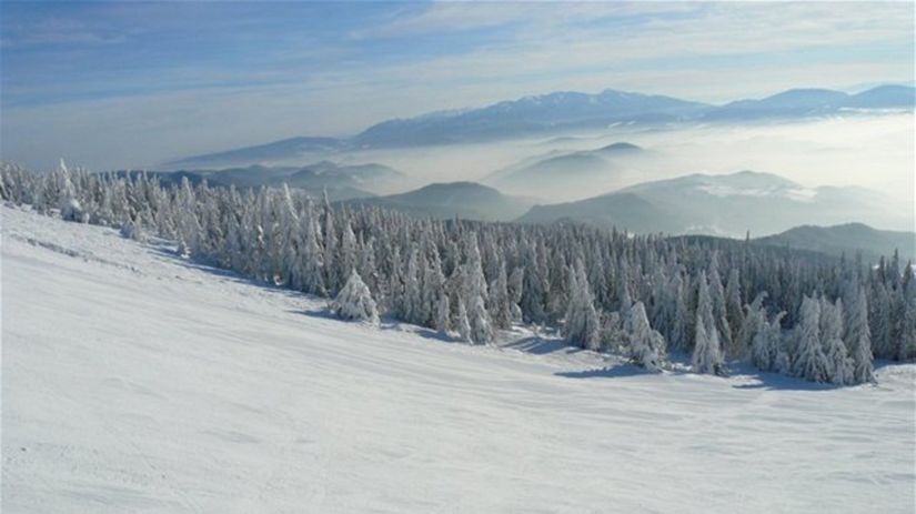 les, zima, sneh, mráz, príroda, hory