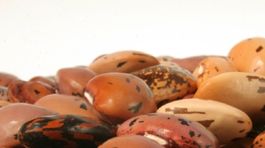 Všetko, čo potrebujete vedieť o bielkovinách