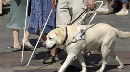 Ako sa musí zamestnávateľ postarať o občanov so zdravotným postihnutím?