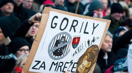 protest, Gorila