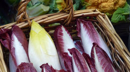 Čakanka: na žlčník, zápachu aj na rast vlasov