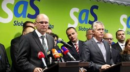 SaS: Ak Drucker neodvolá Gašpara, budeme chcieť počuť vysvetlenie na výbore