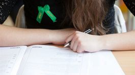 V maturitnom teste z češtiny bola chyba, 113 študentov neprepadne