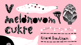 Kniha týždňa: Brautigan zvaný V melónovom cukre