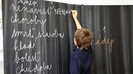 Otestujte sa: Ovládate bezchybne slovenský jazyk?