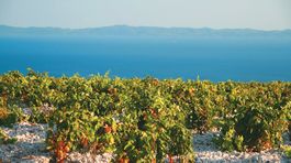 Uber v Chorvátsku ponúkne aj lodnú taxislužbu