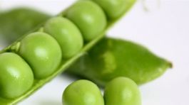 Mladý hrášok chutí výborne! Ale to nie je jeho jediný benefit