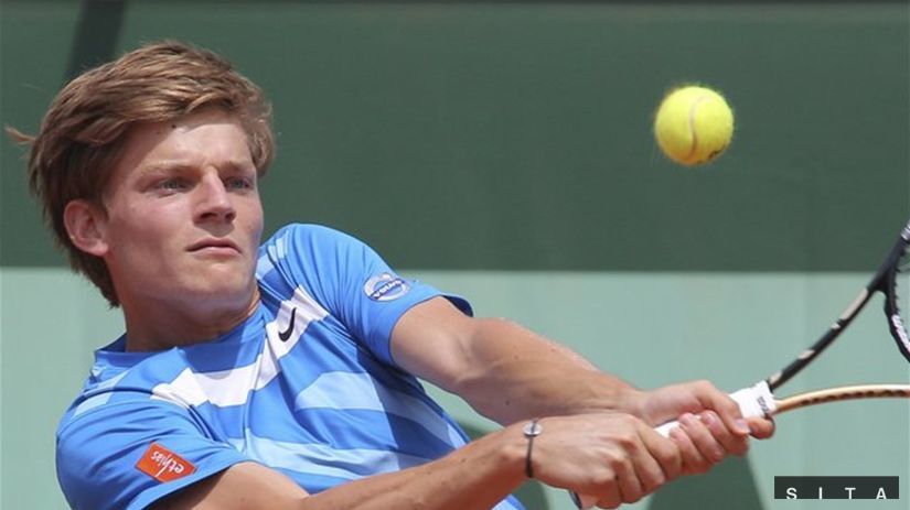 David Goffin