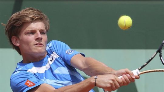 David Goffin