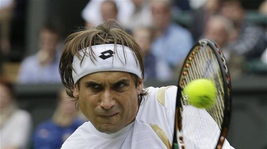 David Ferrer