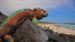 Galapágy - súostrovie pustoty a života