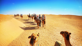 Turistka zažalovala cestovateľský portál, lebo spadla z ťavy