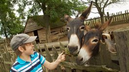 Exotika a pohoda vidieka. To sú zoofarmy