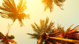 Palma de Mallorca chce zakázať prenájom bytov turistom