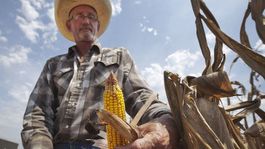 Svetové ceny potravín začínajú výrazne rásť