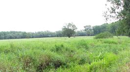 Ipeľ láka na vzácne biotopy a mokrade