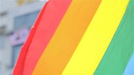 Írsko zrejme v referende schváli sobáše homosexuálov